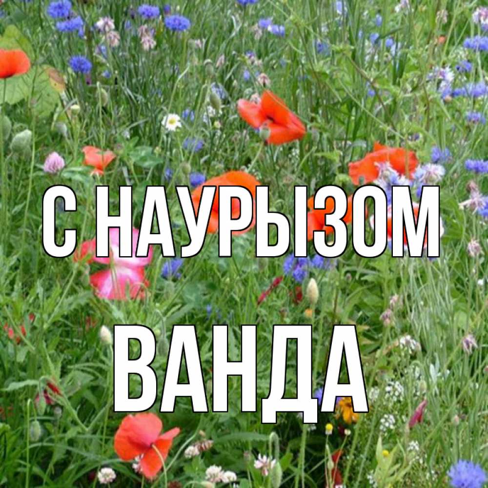 Открытка на каждый день с именем, Ванда С наурызом праздник весны наурыз супер открытка Прикольная открытка с пожеланием онлайн скачать бесплатно 