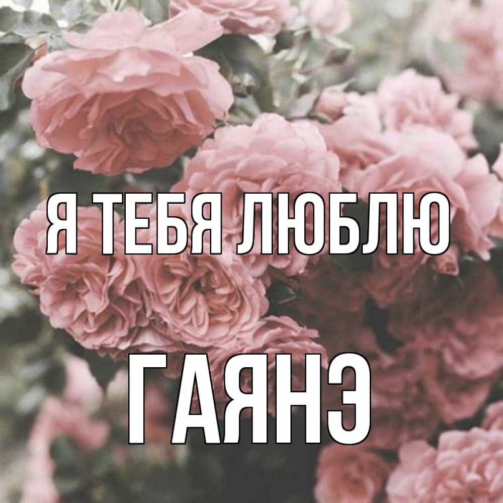 Открытка на каждый день с именем, Гаянэ Я тебя люблю розы 3 Прикольная открытка с пожеланием онлайн скачать бесплатно 
