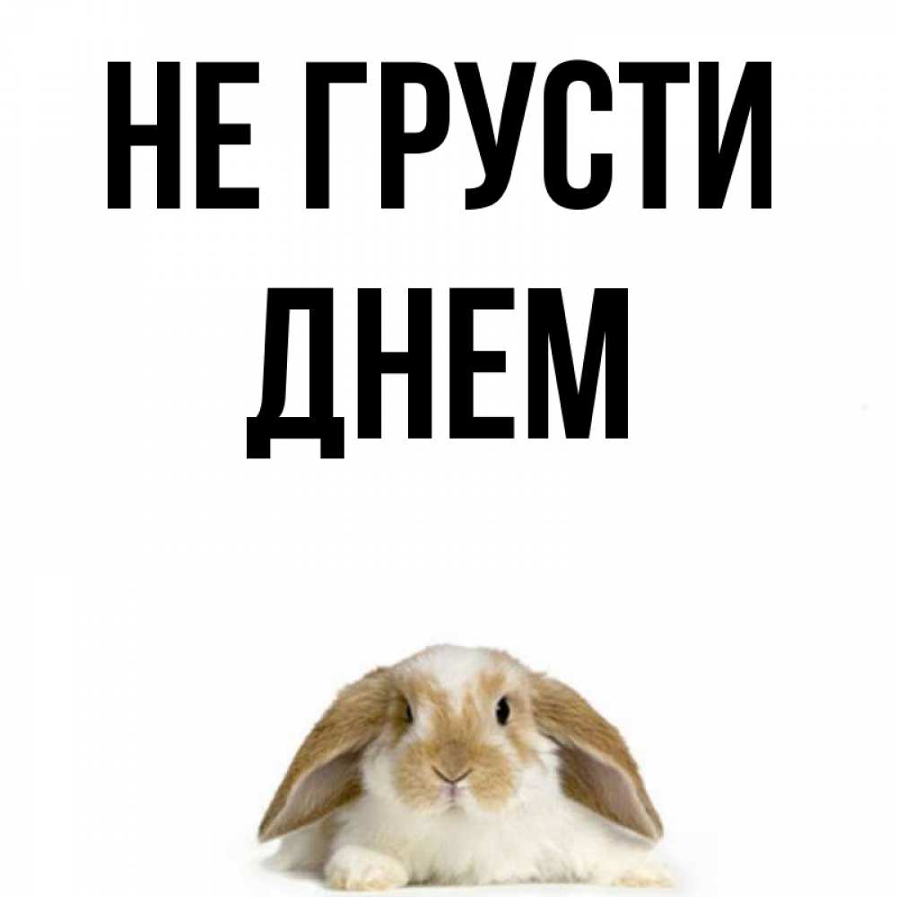С Днем Грусти