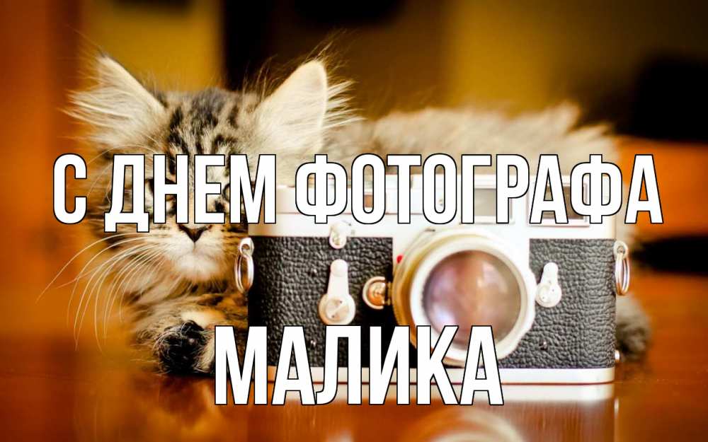 Открытка на каждый день с именем, Малика С днем фотографа с днем фотографа Прикольная открытка с пожеланием онлайн скачать бесплатно 