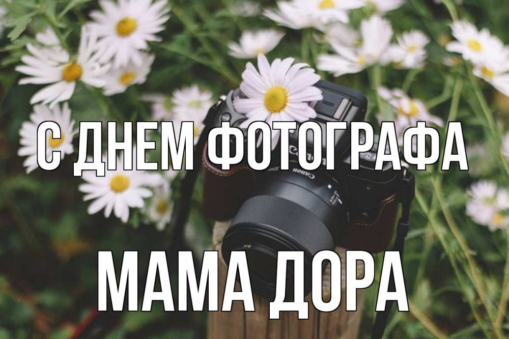 Открытка на каждый день с именем, Мама-Дора С днем фотографа с днем фотографа Прикольная открытка с пожеланием онлайн скачать бесплатно 