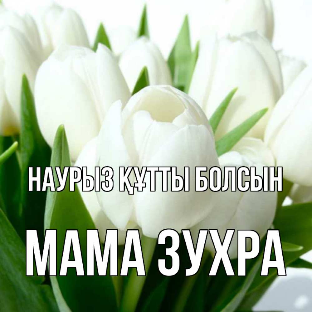Открытка на каждый день с именем, Мама-Зухра Наурыз құтты болсын цветы Прикольная открытка с пожеланием онлайн скачать бесплатно 