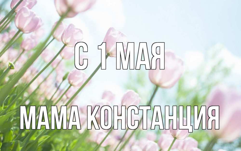 Открытка на каждый день с именем, Мама-Констанция С 1 мая С 1 мая Прикольная открытка с пожеланием онлайн скачать бесплатно 