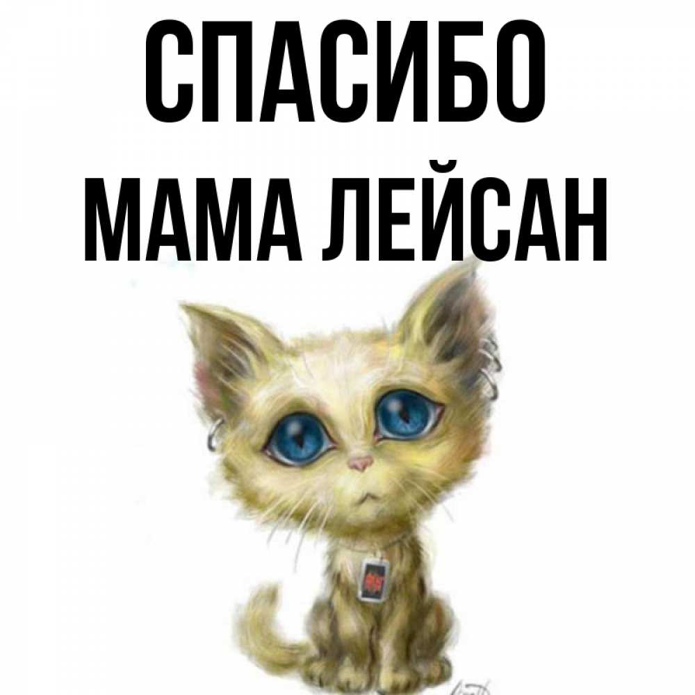 Открытка на каждый день с именем, Мама-Лейсан Спасибо рисованный кот благодарит вас Прикольная открытка с пожеланием онлайн скачать бесплатно 