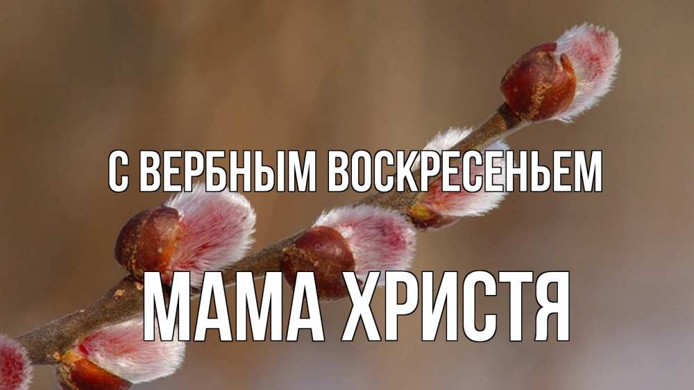 Открытка на каждый день с именем, Мама-Христя С вербным воскресеньем верба Прикольная открытка с пожеланием онлайн скачать бесплатно 