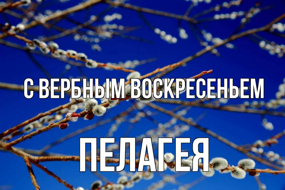 Открытка на каждый день с именем, Пелагея С вербным воскресеньем верба Прикольная открытка с пожеланием онлайн скачать бесплатно 