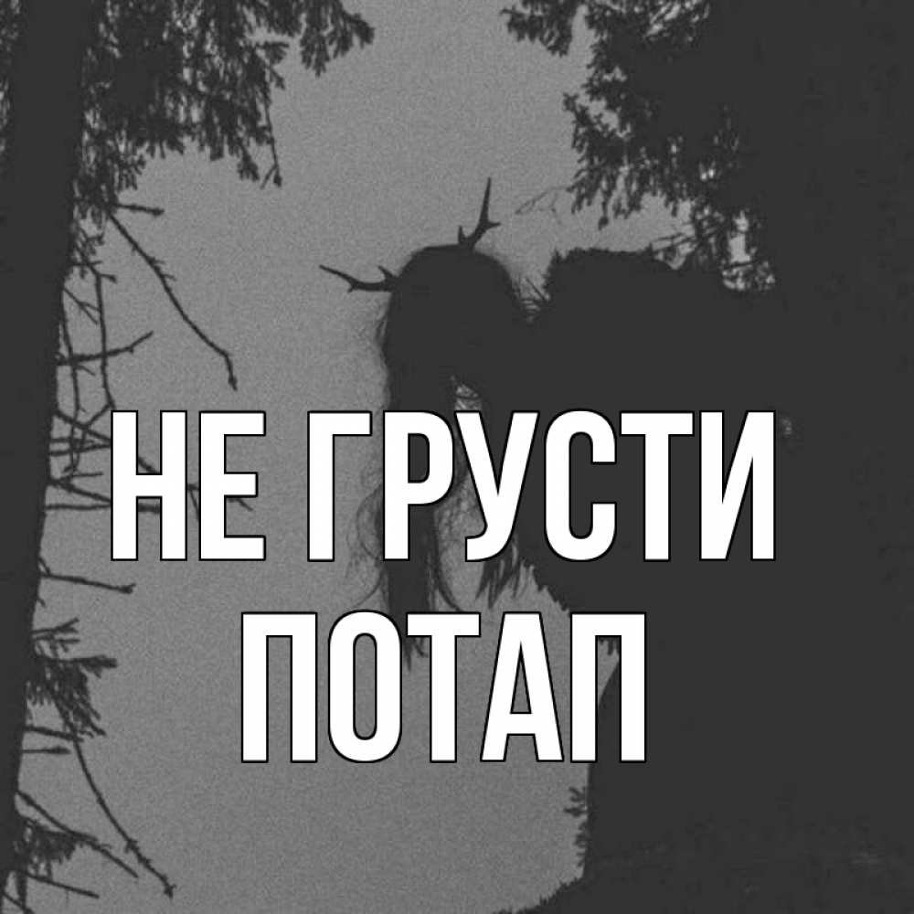 Открытка на каждый день с именем, Потап Не грусти чудище лесное Прикольная открытка с пожеланием онлайн скачать бесплатно 