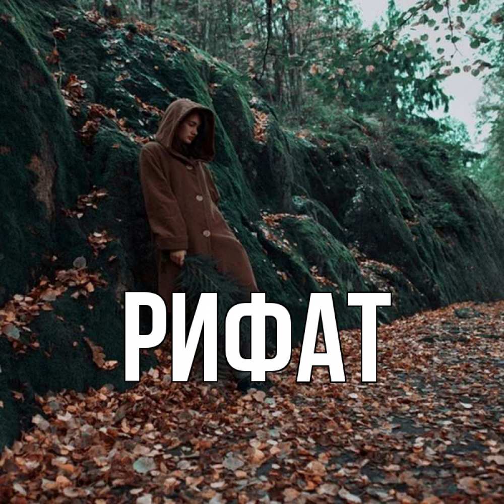 Открытка на каждый день с именем, Рифат Главная осенний лес Прикольная открытка с пожеланием онлайн скачать бесплатно 