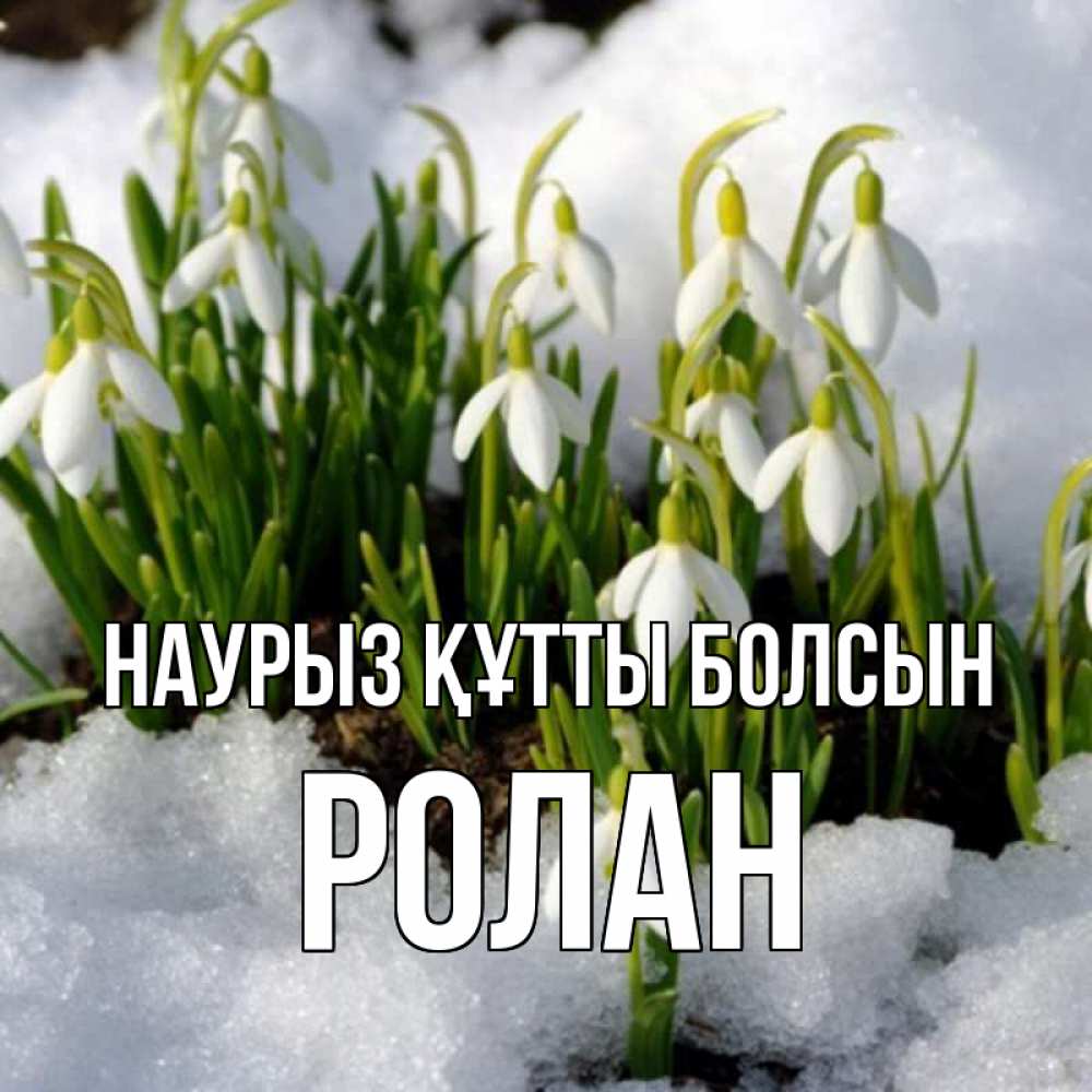 Открытка на каждый день с именем, Ролан Наурыз құтты болсын цветы весенние Прикольная открытка с пожеланием онлайн скачать бесплатно 
