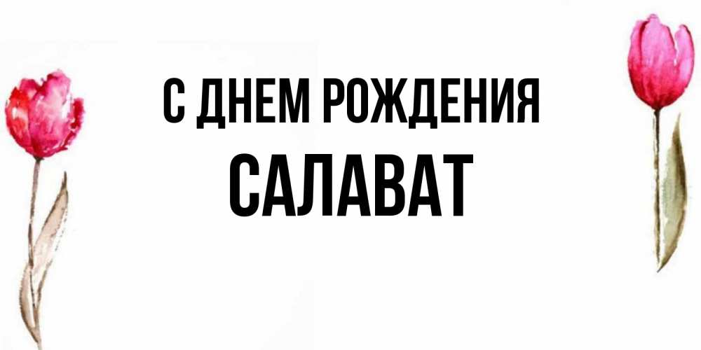 С Днем Рождения Салават Открытки