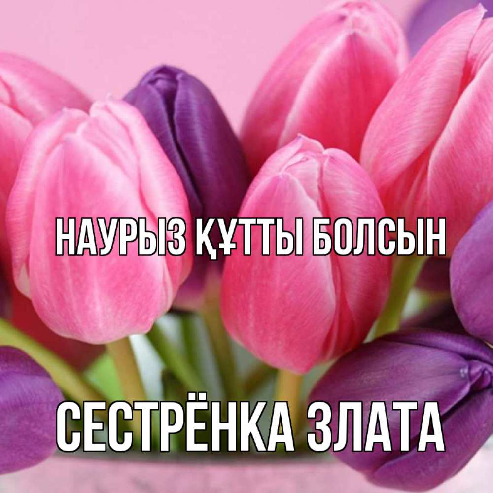 Открытка на каждый день с именем, Сестрёнка-Злата Наурыз құтты болсын маме 1 Прикольная открытка с пожеланием онлайн скачать бесплатно 