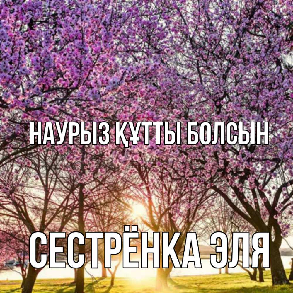 Открытка на каждый день с именем, Сестрёнка-Эля Наурыз құтты болсын наурыз Прикольная открытка с пожеланием онлайн скачать бесплатно 
