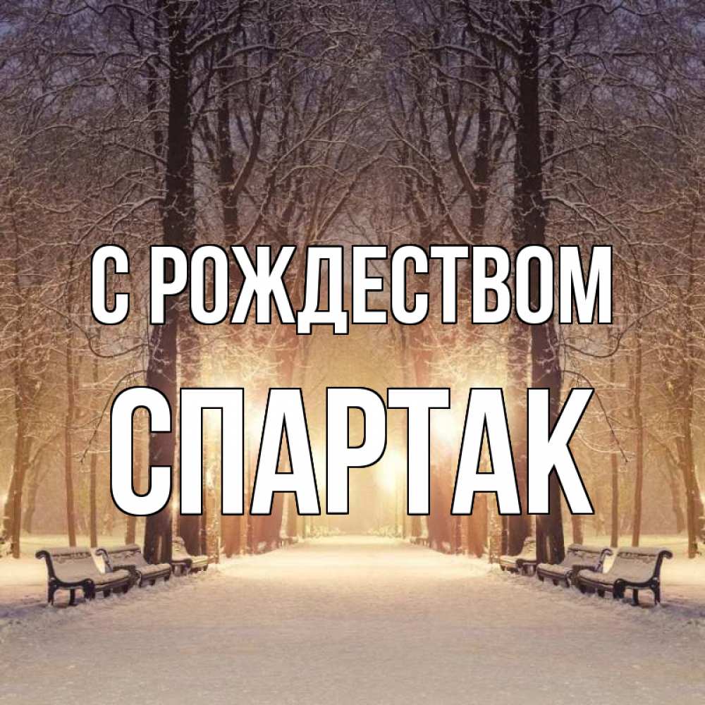 Открытка на каждый день с именем, Спартак С рождеством зима, парк, фонарь, лес Прикольная открытка с пожеланием онлайн скачать бесплатно 