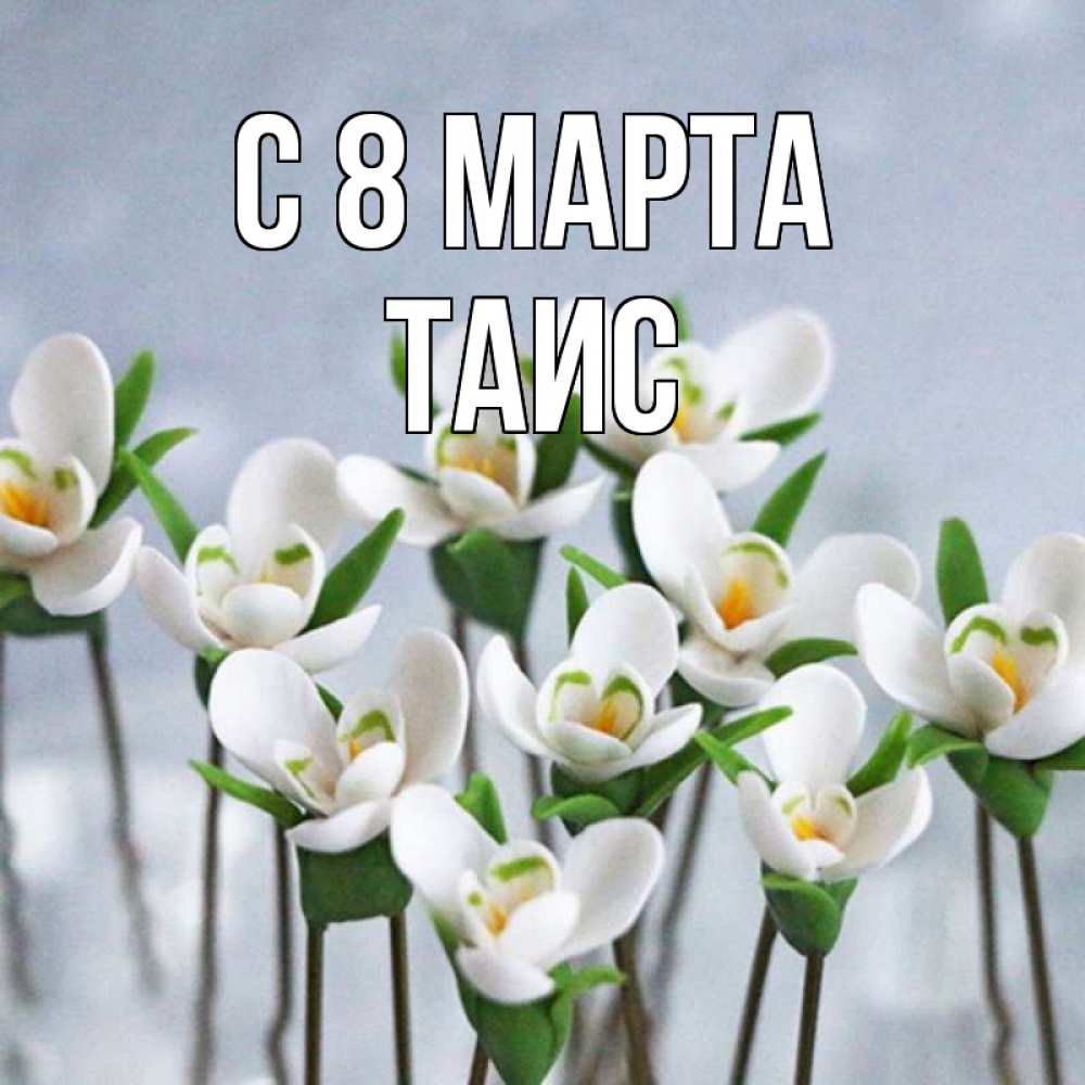 Открытка на каждый день с именем, Таис С 8 марта весенние цветы Прикольная открытка с пожеланием онлайн скачать бесплатно 