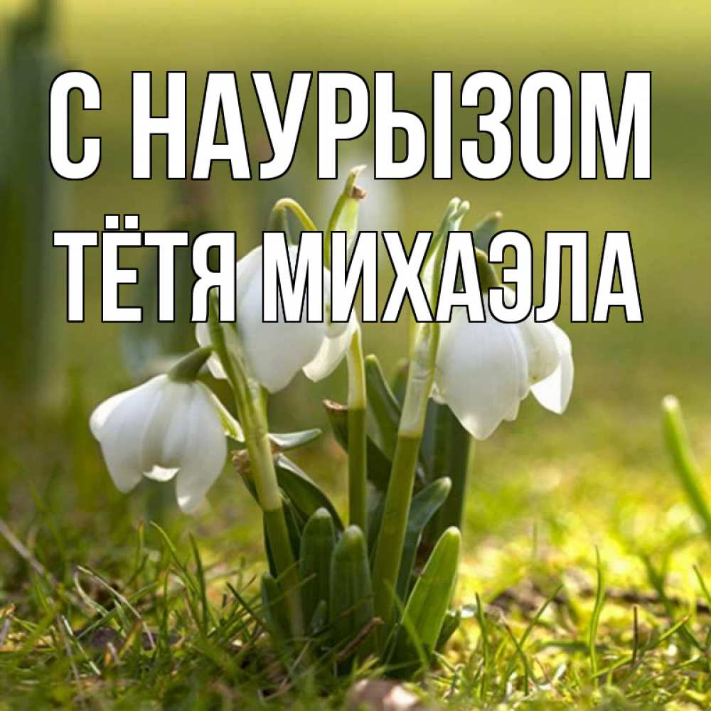 Открытка на каждый день с именем, Тётя-Михаэла С наурызом ранние цветы 2 Прикольная открытка с пожеланием онлайн скачать бесплатно 