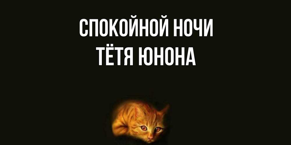 Открытка на каждый день с именем, Тётя-Юнона Спокойной ночи кот Прикольная открытка с пожеланием онлайн скачать бесплатно 