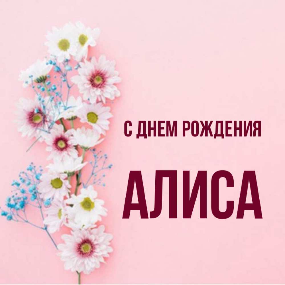 Открытка на каждый день с именем, алиса С днем рождения Родная моя с днем рождения тебя картинка с цветами белыми и голубыми Прикольная открытка с пожеланием онлайн скачать бесплатно 