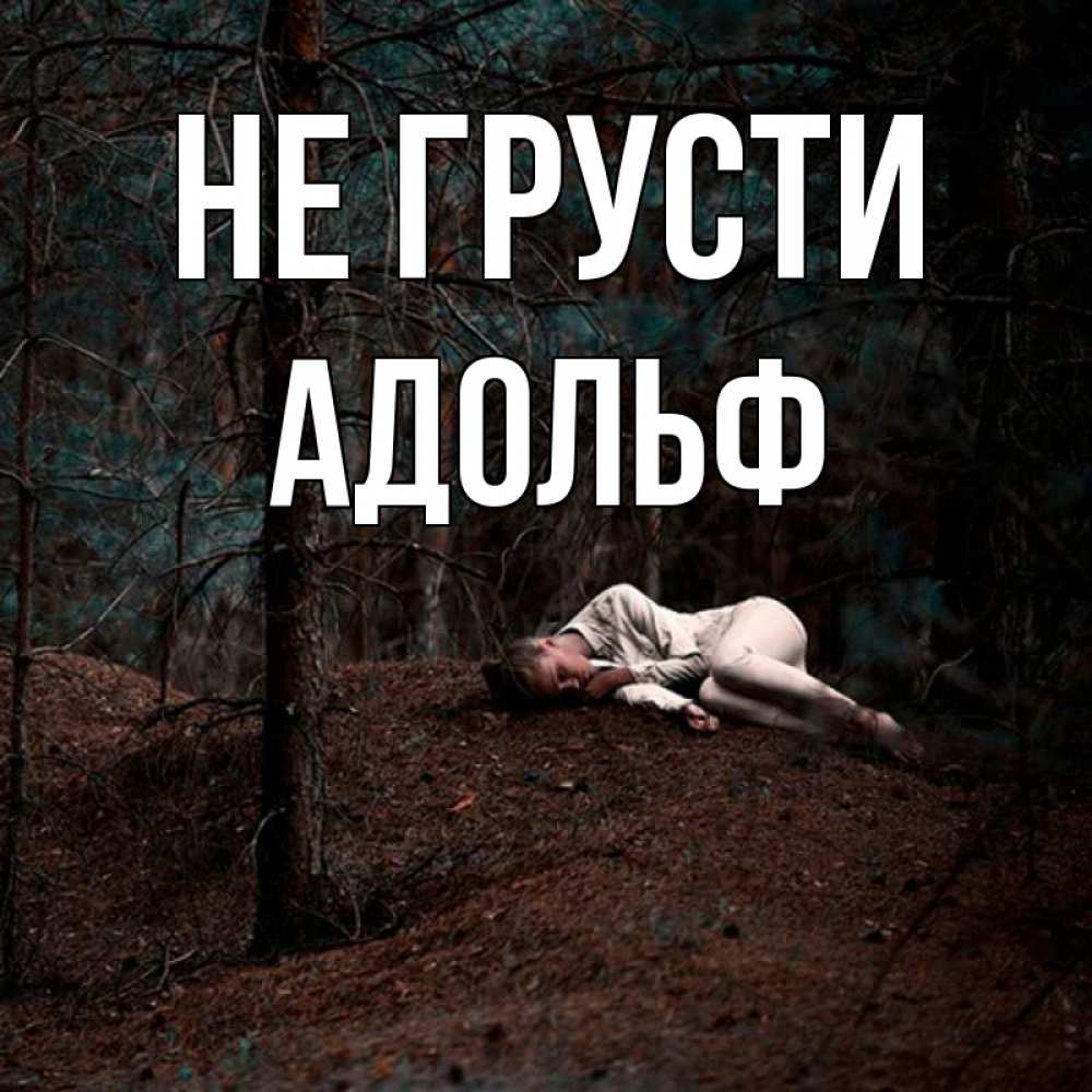 Открытка на каждый день с именем, Адольф Не грусти лес Прикольная открытка с пожеланием онлайн скачать бесплатно 