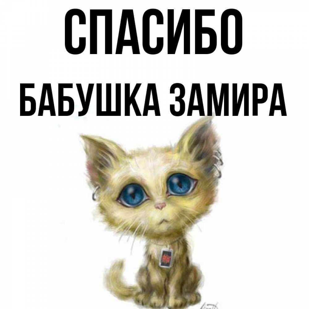Открытка на каждый день с именем, Бабушка-Замира Спасибо рисованный кот благодарит вас Прикольная открытка с пожеланием онлайн скачать бесплатно 