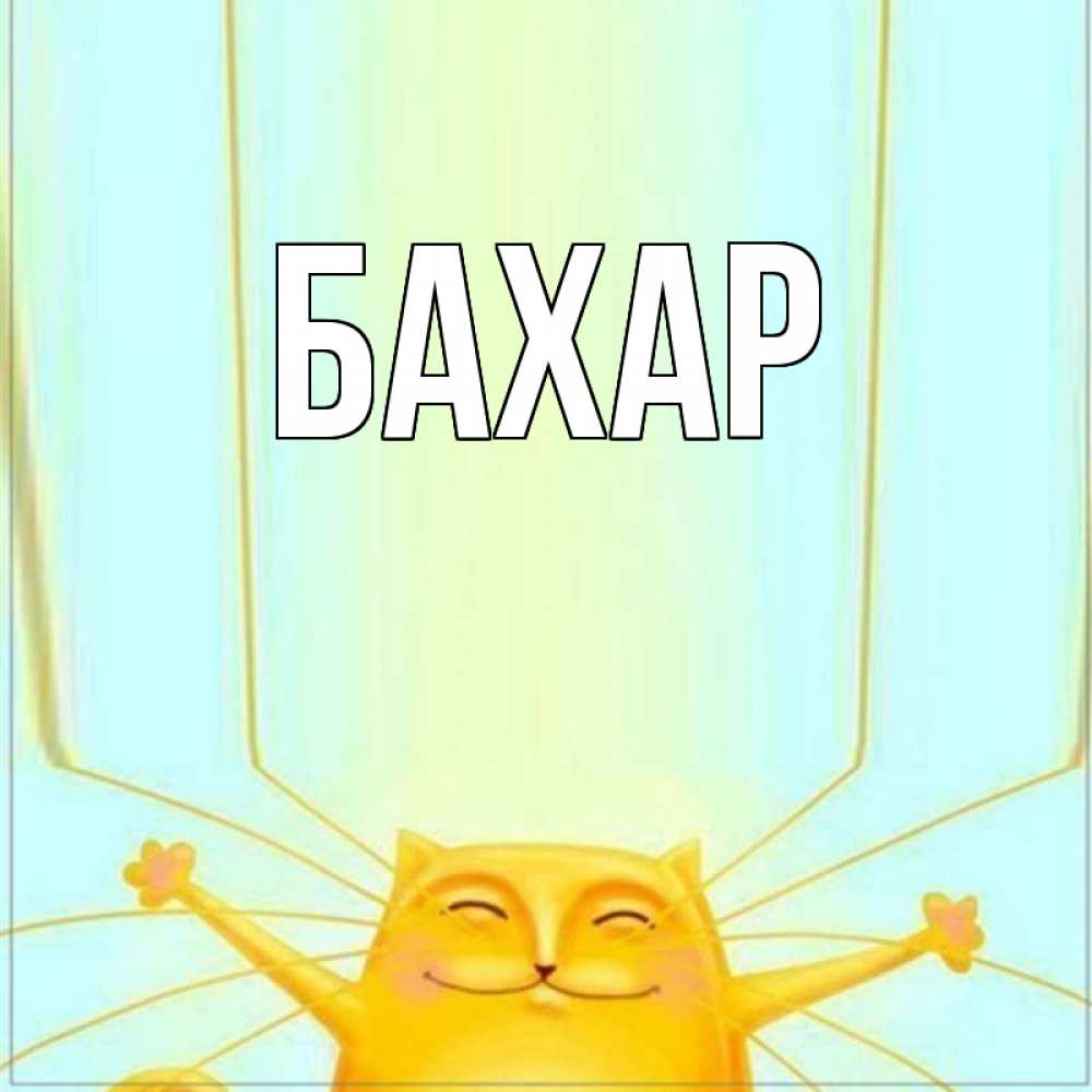 Открытка на каждый день с именем, Бахар Главная кот с усами благодарит Прикольная открытка с пожеланием онлайн скачать бесплатно 