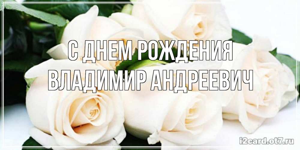 Открытка на каждый день с именем, Владимир-Андреевич С днем рождения открытка с красивыми белыми розами для родных Прикольная открытка с пожеланием онлайн скачать бесплатно 