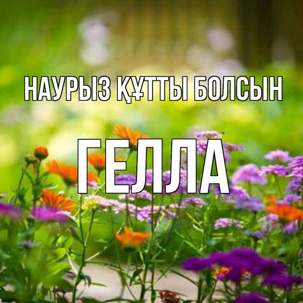Открытка на каждый день с именем, Гелла Наурыз құтты болсын цветы Прикольная открытка с пожеланием онлайн скачать бесплатно 