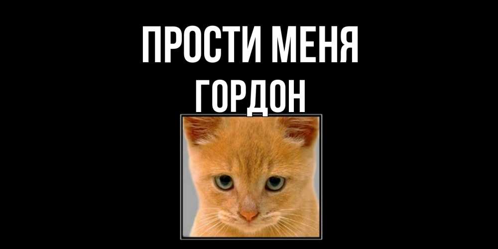 Открытка на каждый день с именем, Гордон Прости меня рыжий грустный кот просит прощения Прикольная открытка с пожеланием онлайн скачать бесплатно 