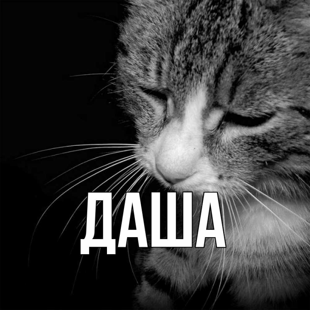 Открытка на каждый день с именем, Даша Главная мне скучно Прикольная открытка с пожеланием онлайн скачать бесплатно 