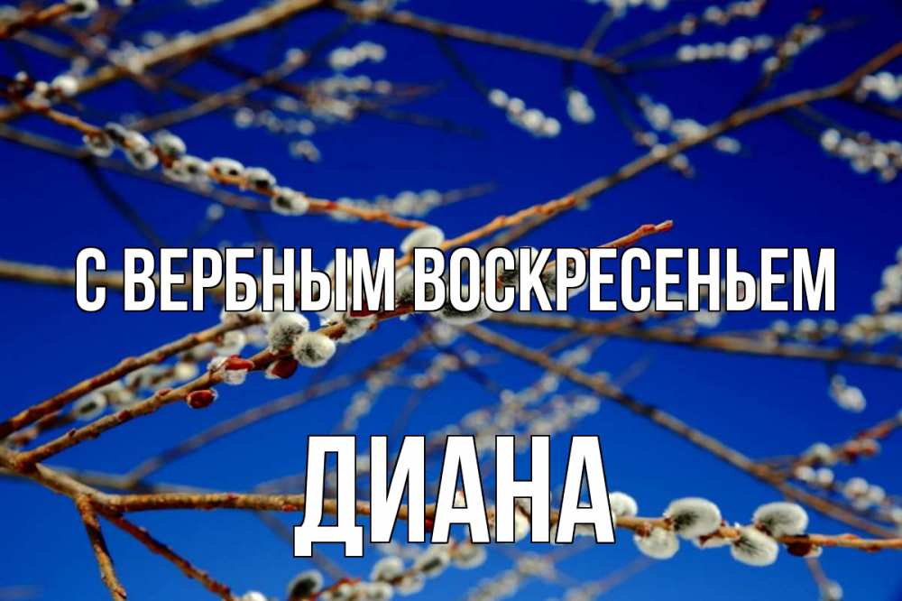 Открытка на каждый день с именем, Диана С вербным воскресеньем верба Прикольная открытка с пожеланием онлайн скачать бесплатно 