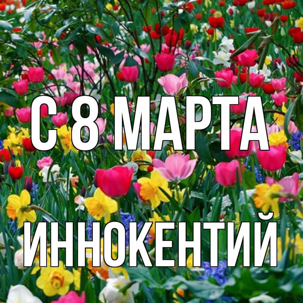 Открытка на каждый день с именем, Иннокентий С 8 марта с международным женским днем поздравления для женщины Прикольная открытка с пожеланием онлайн скачать бесплатно 
