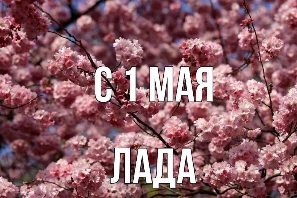 Открытка на каждый день с именем, Лада С 1 мая С 1 мая Прикольная открытка с пожеланием онлайн скачать бесплатно 
