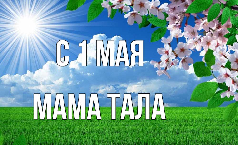Открытка на каждый день с именем, Мама-Тала С 1 мая С 1 мая Прикольная открытка с пожеланием онлайн скачать бесплатно 