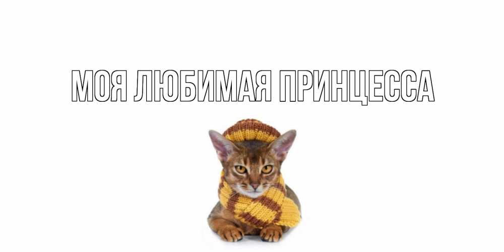 Открытка на каждый день с именем, Моя-Любимая-Принцесса Главная родные не болейте Прикольная открытка с пожеланием онлайн скачать бесплатно 