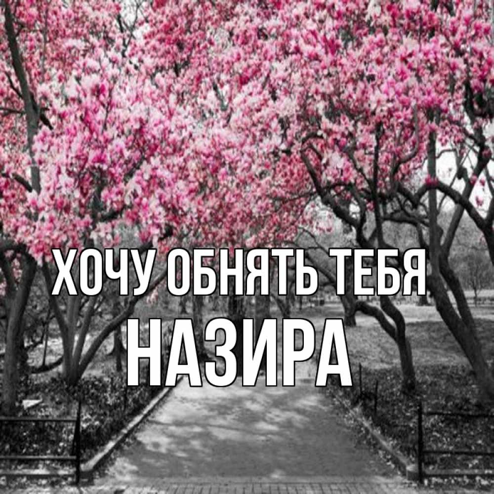 Открытка на каждый день с именем, Назира Хочу обнять тебя обработанное фото Прикольная открытка с пожеланием онлайн скачать бесплатно 