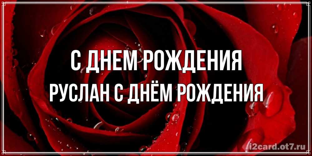 Открытка на каждый день с именем, Руслан-с-днём-рождения С днем рождения крупная бордовая роза Прикольная открытка с пожеланием онлайн скачать бесплатно 