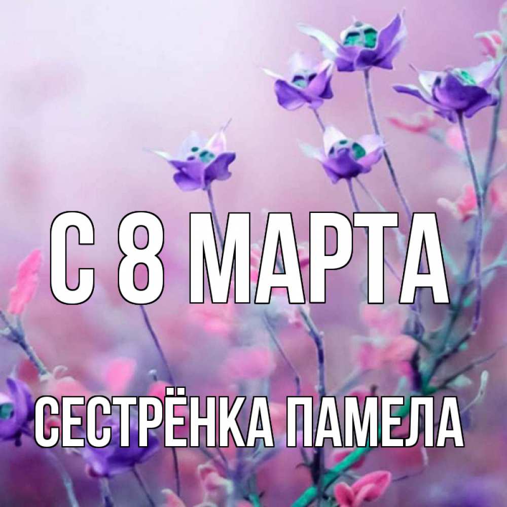 Открытка на каждый день с именем, Сестрёнка-Памела С 8 МАРТА международный женский день 2 Прикольная открытка с пожеланием онлайн скачать бесплатно 