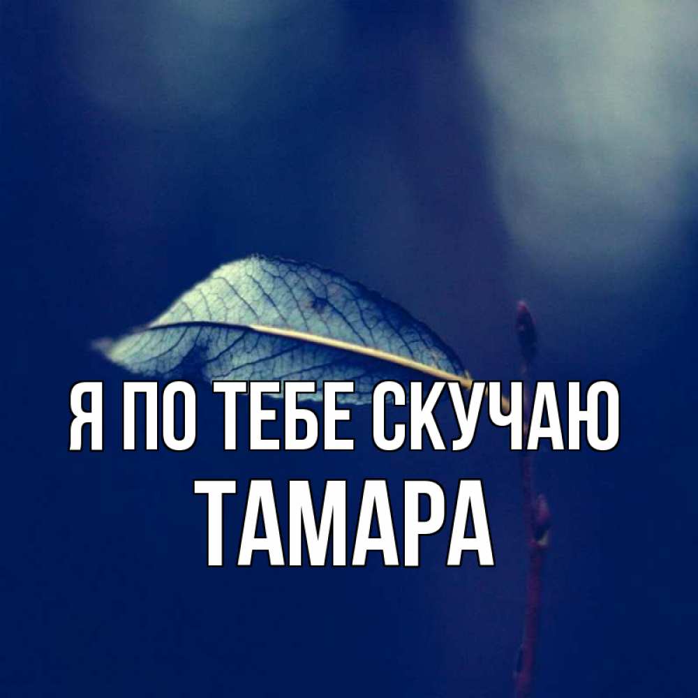 Открытка на каждый день с именем, Тамара Я по тебе скучаю одна ветка 1 Прикольная открытка с пожеланием онлайн скачать бесплатно 