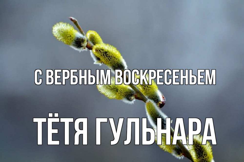 Открытка на каждый день с именем, Тётя-Гульнара С вербным воскресеньем верба Прикольная открытка с пожеланием онлайн скачать бесплатно 