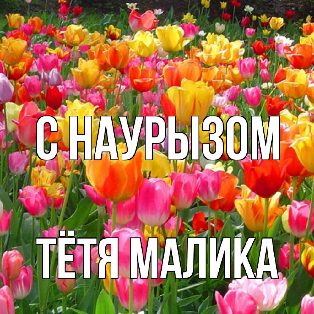 Открытка на каждый день с именем, Тётя-Малика С наурызом праздник весны наурыз 4 Прикольная открытка с пожеланием онлайн скачать бесплатно 