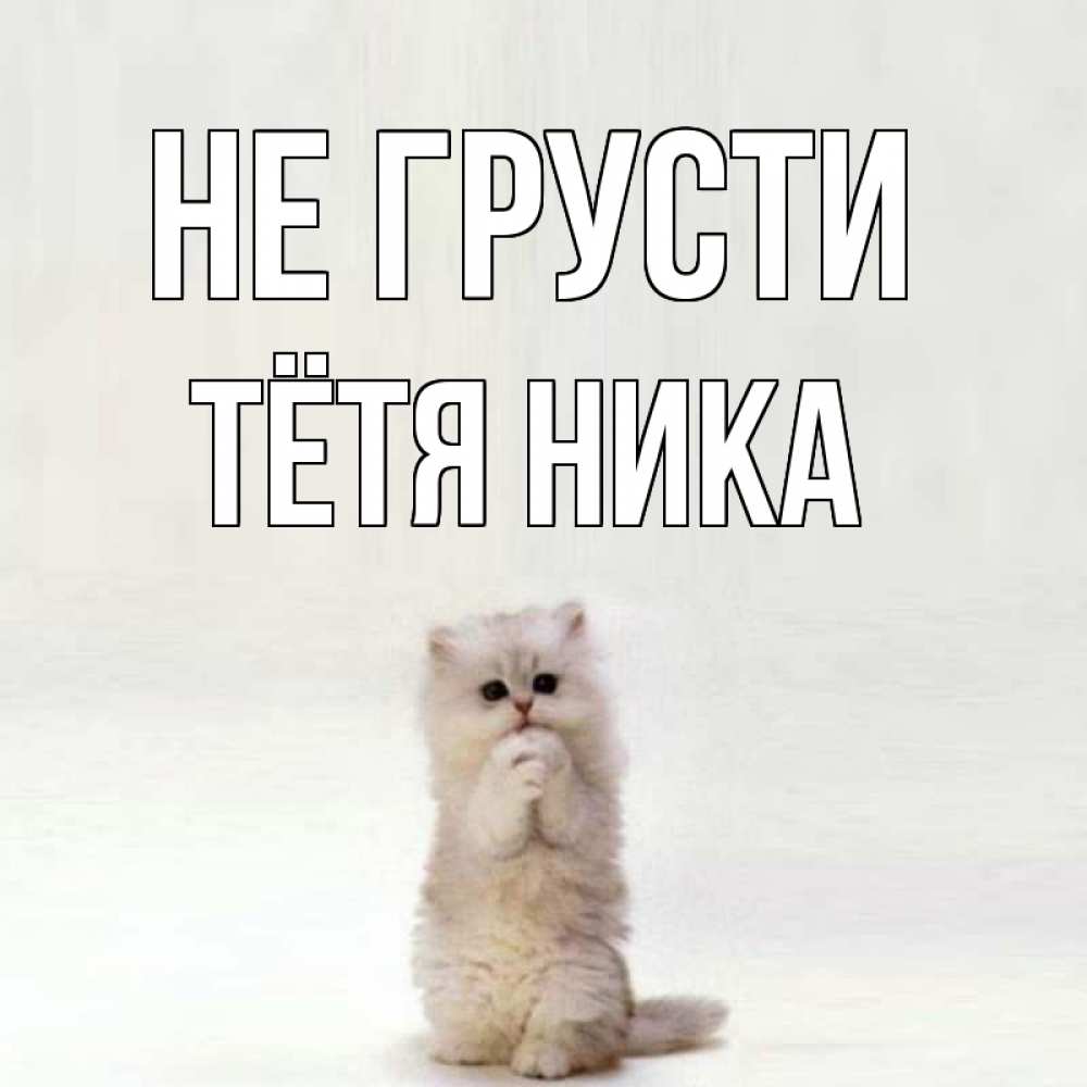 Открытка на каждый день с именем, Тётя-Ника Не грусти грустный кот Прикольная открытка с пожеланием онлайн скачать бесплатно 