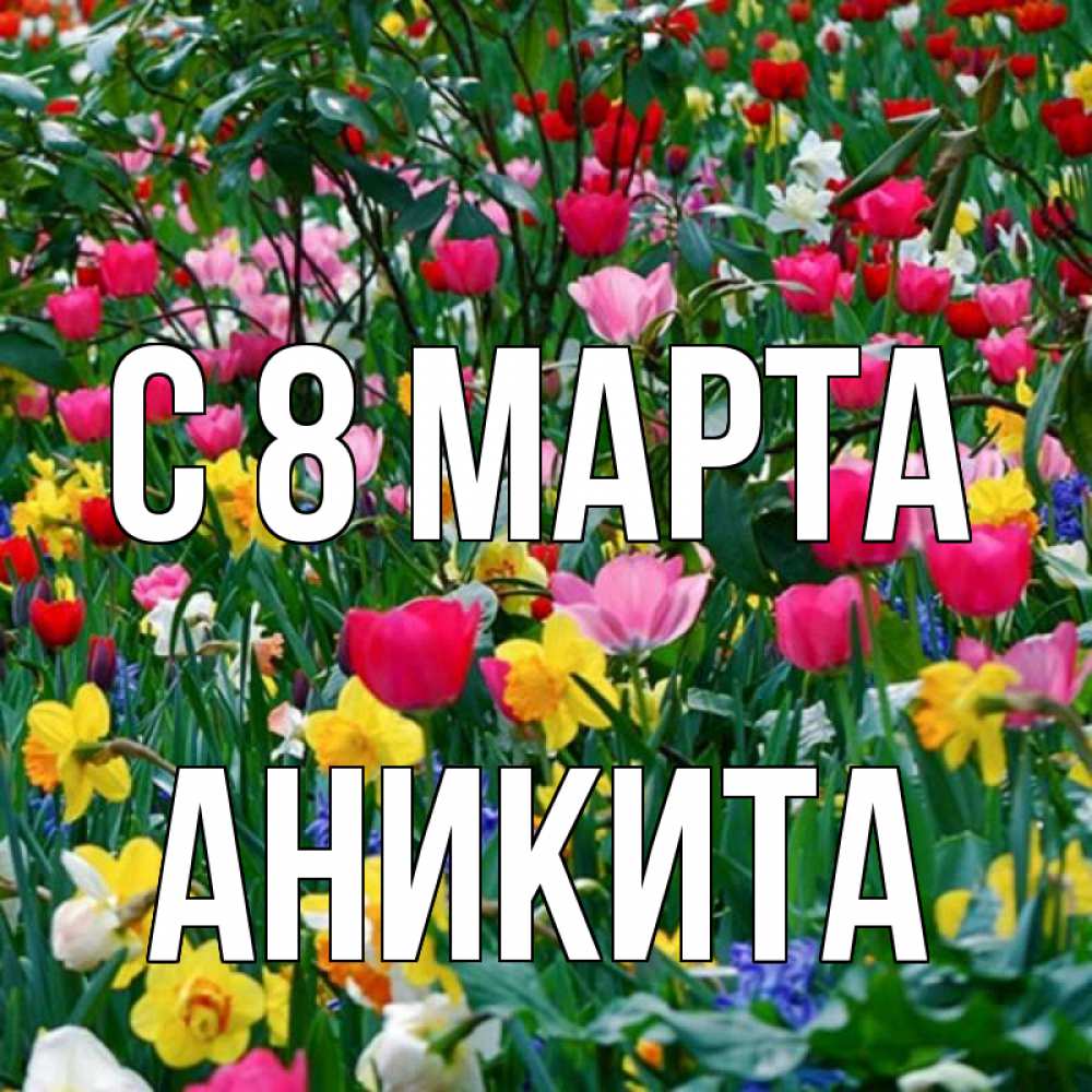 Открытка на каждый день с именем, Аникита С 8 марта с международным женским днем поздравления для женщины Прикольная открытка с пожеланием онлайн скачать бесплатно 