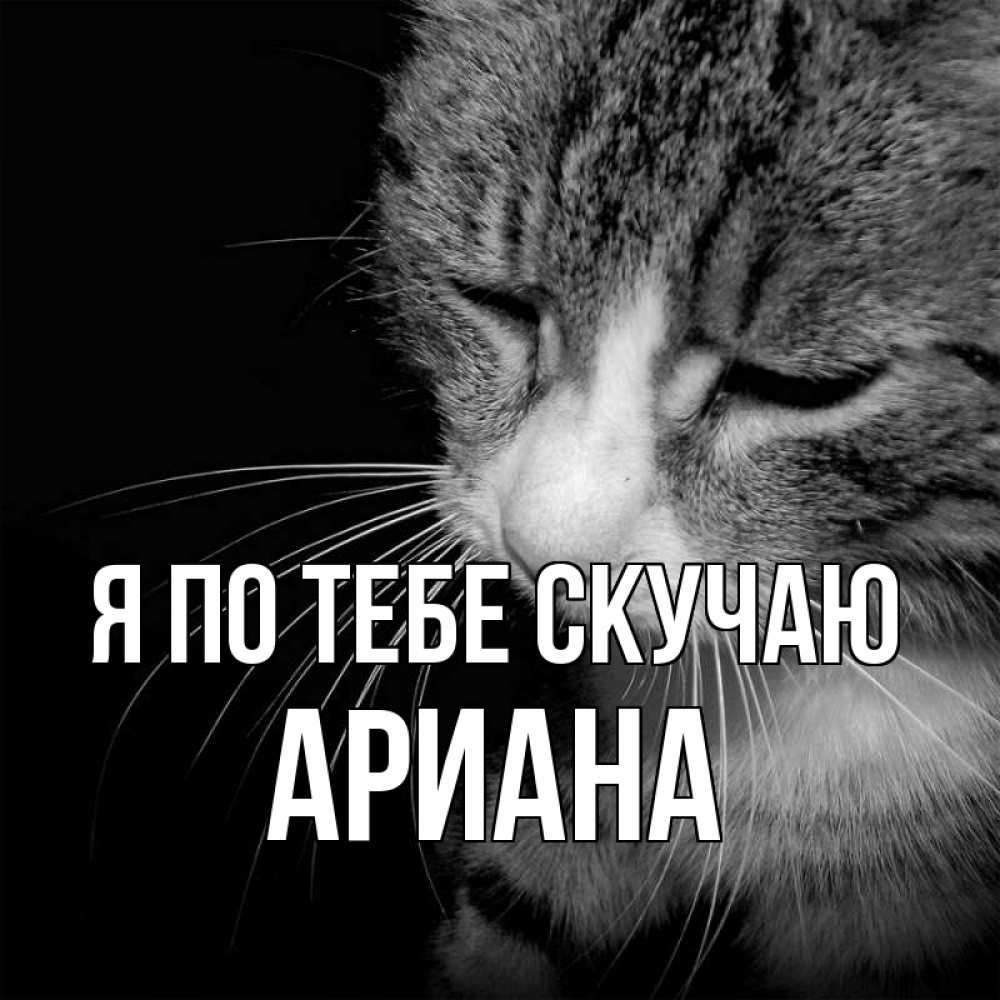 Открытка на каждый день с именем, Ариана Я по тебе скучаю мне скучно Прикольная открытка с пожеланием онлайн скачать бесплатно 