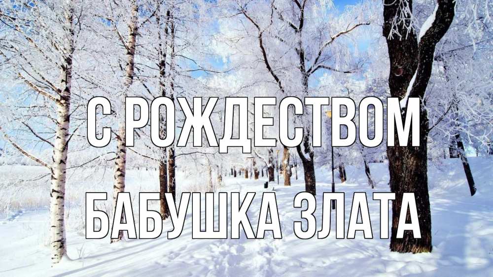Открытка на каждый день с именем, Бабушка-Злата С рождеством зимний лес Прикольная открытка с пожеланием онлайн скачать бесплатно 
