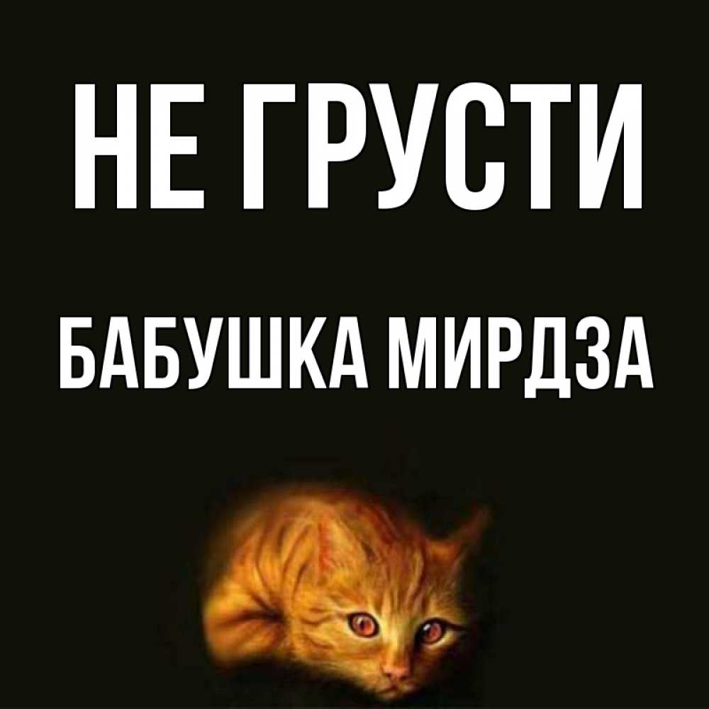 Открытка на каждый день с именем, Бабушка-Мирдза Не грусти лежащий кот в темноте Прикольная открытка с пожеланием онлайн скачать бесплатно 