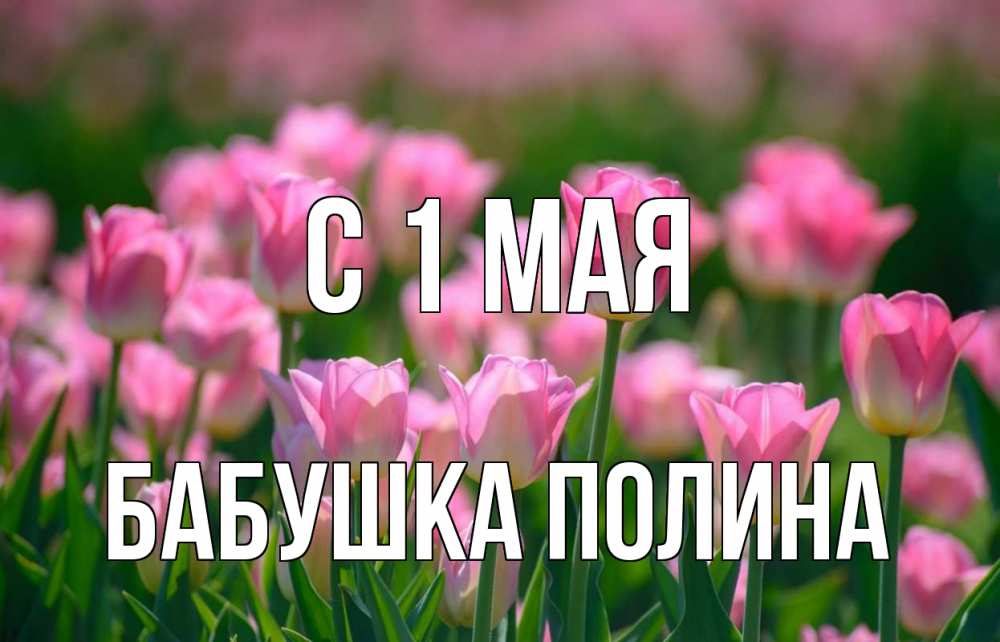 Открытка на каждый день с именем, Бабушка-Полина С 1 мая С 1 мая Прикольная открытка с пожеланием онлайн скачать бесплатно 