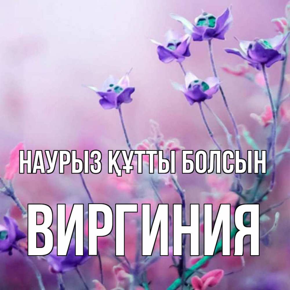 Открытка на каждый день с именем, Виргиния Наурыз құтты болсын наурыз  2 Прикольная открытка с пожеланием онлайн скачать бесплатно 