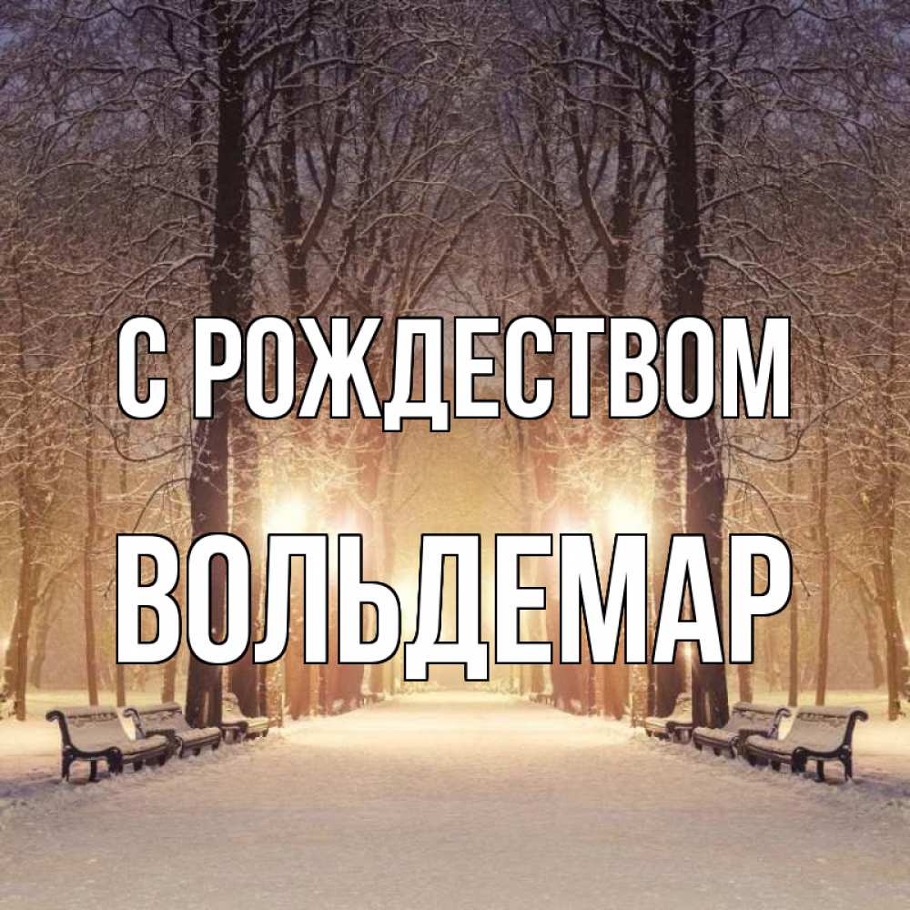 Открытка на каждый день с именем, Вольдемар С рождеством зима, парк, фонарь, лес Прикольная открытка с пожеланием онлайн скачать бесплатно 