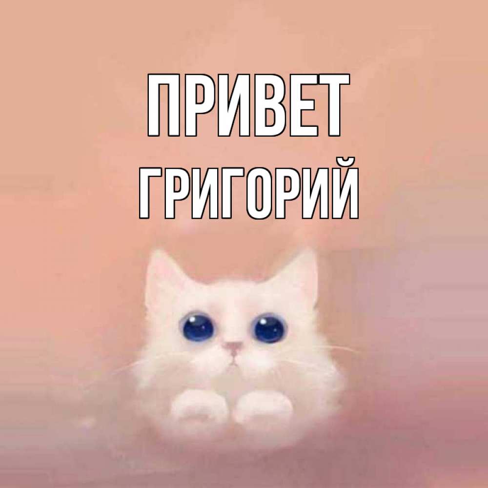 Открытка на каждый день с именем, Григорий Привет котик белый в полете Прикольная открытка с пожеланием онлайн скачать бесплатно 
