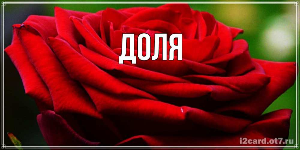 Картинка  с именем , Доля