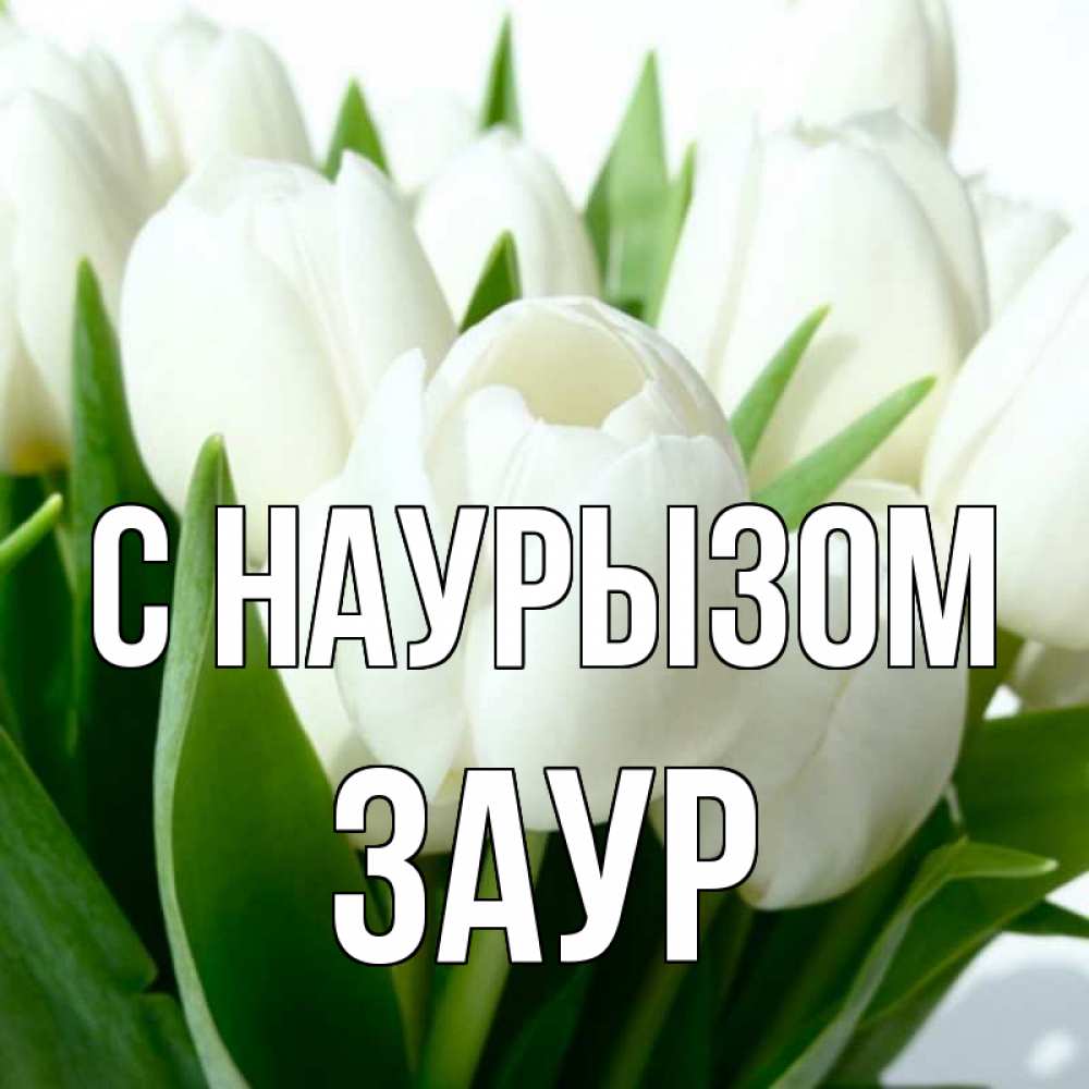 Открытка на каждый день с именем, Заур С наурызом цветы Прикольная открытка с пожеланием онлайн скачать бесплатно 